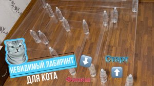 Невидимый лабиринт для кота