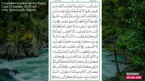 Коран. Сура 2 аль Бакара 25  -29 аят