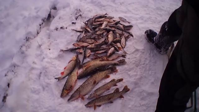 РЫБАЛКА НА УСТЬЕ! 1 часть смотреть онлайн