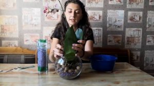 Такой красивой пересадки ОРХИДЕИ вы еще не видели/ декоративная посадка ОРХИДЕИ Мария Тереза