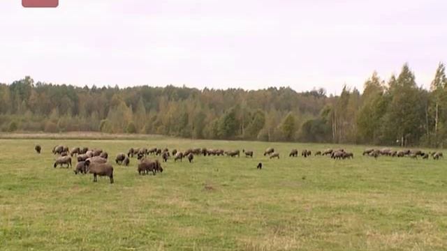 Простые дроби 21.10.2014 смотреть онлайн