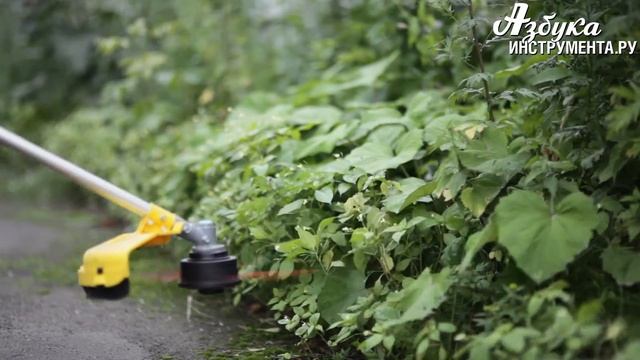 Триммер бензиновый 1,23 л/с, CHAMPION - T336 смотреть онлайн