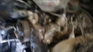 GWM WINGLE 7 REPLACE TIMING BELT 4D20D ENGINE