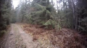 Рябчик 2, ИЖ 18 в 20 калибре