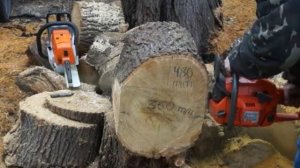 Бензопилы Stihl MS260 vs Husqvarna 340e (сравнение на толстой твёрдой древесине)