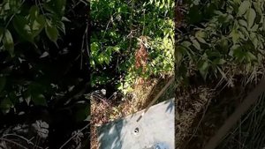 делаю топливный бак на эксковатор юмз с куном
