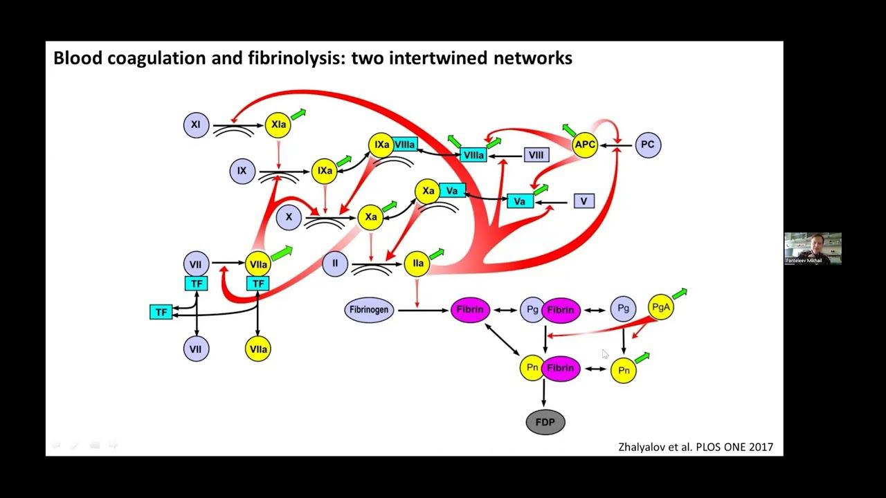 COMPUTATIONAL PHYSIOLOGY AND DRUG DEVELOPMENT