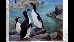 Вымершие животные по вине человека.