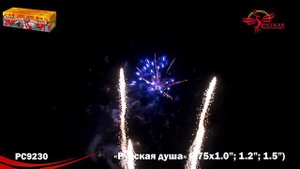 РС9230 Русская душа