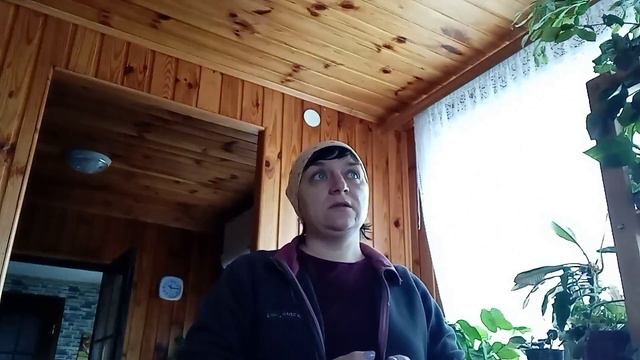 Новый цикламен!// Уборка дома!//Инжир из косточки! #_Украина_ смотреть онлайн