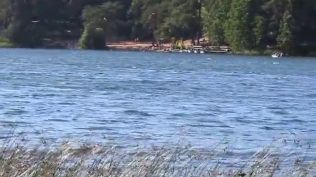 Оз.Омчино. Лужский район. смотреть онлайн