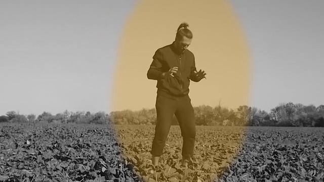Тенсегрити по книге - серия для матки (обучалка, мануал).