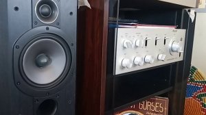 Wharfedale vardus vr-200     dinleti