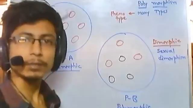 What is polymorphism
