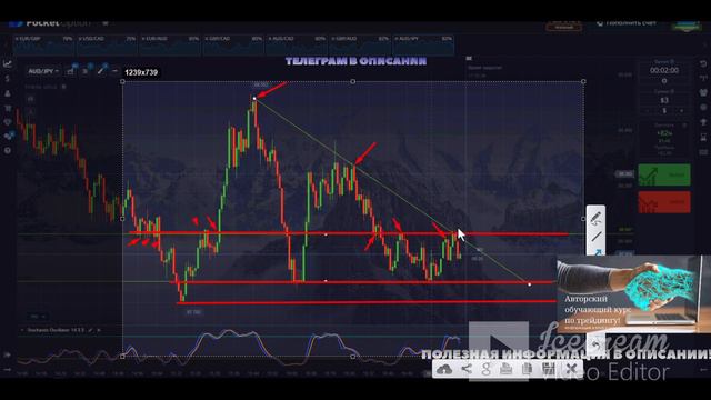 Стратегия для новичков Бинарные опционы обучение