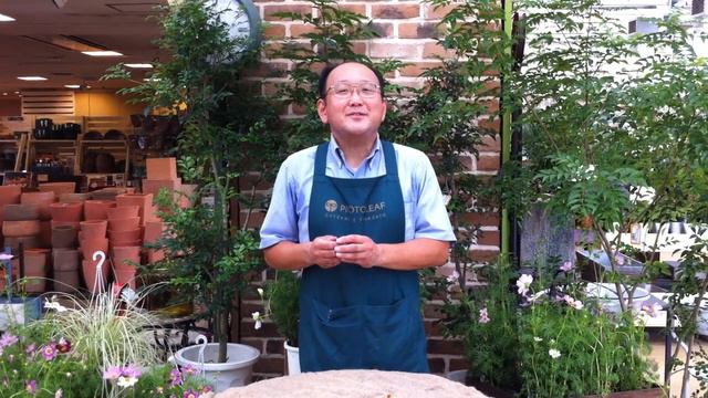 水栽培用球根と花壇用球根の違い смотреть онлайн