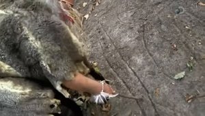 Загадки планеты Земля  Что видно только из Космоса