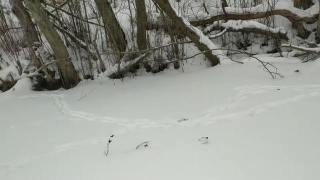 Зимняя рыбалка.Лобня.Красная Поляна.