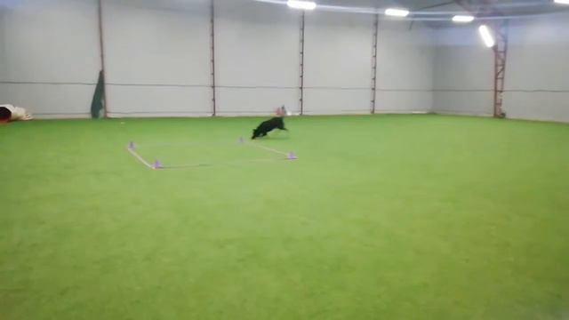 Обидиенс - 1 ( оценка "отлично") смотреть онлайн