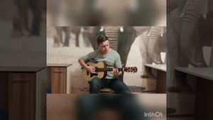 Ronnie Wood AG38 обзор