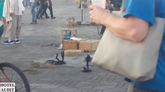 Марокко   Марракеш   Джемаа эль Фна Jemaa el Fnaa 10 1 AUDITHOTEL АудитОтель