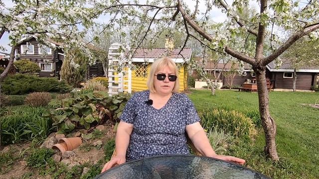 Проволочник в огороде: как бороться и не допустить появления. Проверенные советы моих подписчиков