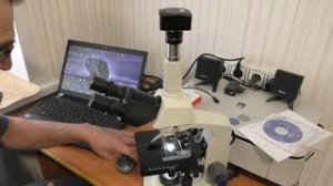 Небольшой обзор тринокулярного микроскопа AmScope и usb   камеры 10М
