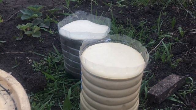 Как я менял воск на вощину смотреть онлайн