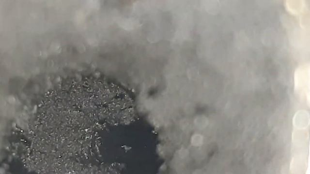 Состояние впускных клапанов на Toyota Mark X перед чисткой химией G'ZOX смотреть онлайн