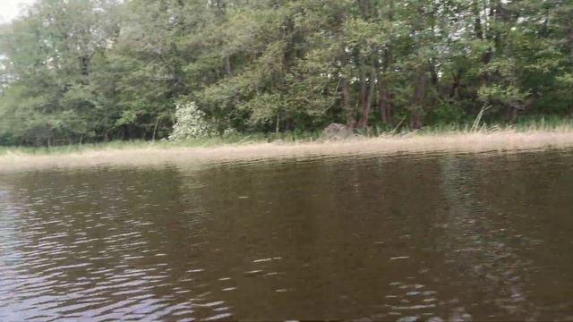 Мотор evinrude 4 1981г. смотреть онлайн