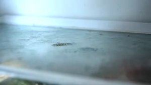 Гигиеническая уборка холодильника