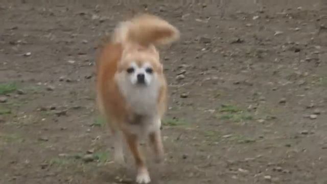 Olympus PEN Light E PL3 Movie смотреть онлайн