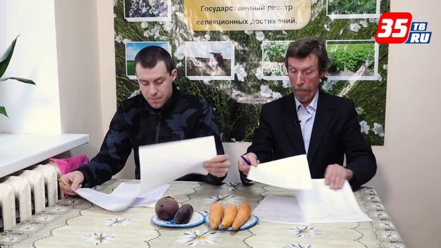 Лучшие сорта моркови и свеклы смотреть онлайн