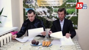 Лучшие сорта моркови и свеклы