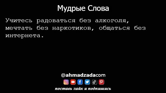 Мудрые Слова 14
