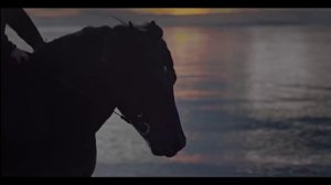 Wardruna - Raido (720p).mp4