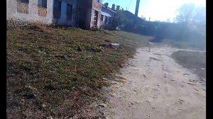 Бердичевская баня: неси меня олень в свою страну оленью...