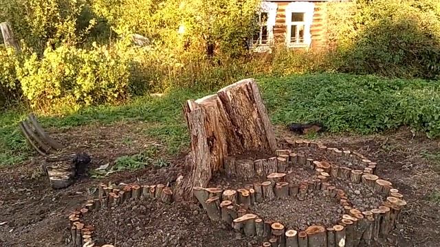 Как из старого дерева в саду сделать своими руками цветочную клумбу