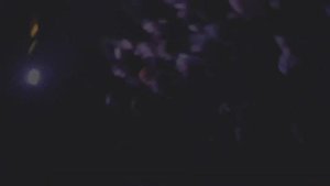 6996 △ афогидашизм