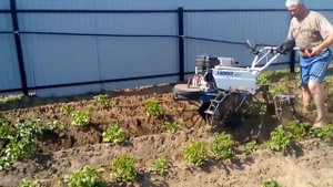 Мотоблок Нева с дисковым окучником
