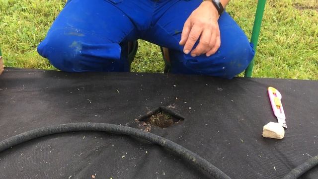 Мечта дачника! Супер-парник и супер-способ выращивания огурцов!! смотреть онлайн