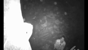 Кража камеры видеонаблюдения