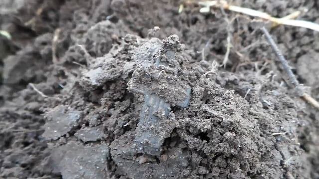 Нашел предметы старины, монеты и кресты. Поиск с металлоискателем, коп монет и старинных вещей.
