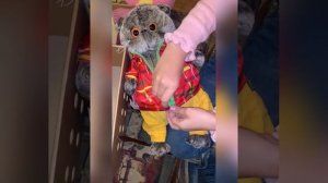 Распаковка БАСИКА!