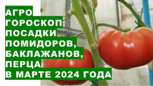 Агрогороскоп посадки томатов, перца, баклажанов в марте 2024Agrohoroscope for planting tomatoes in M