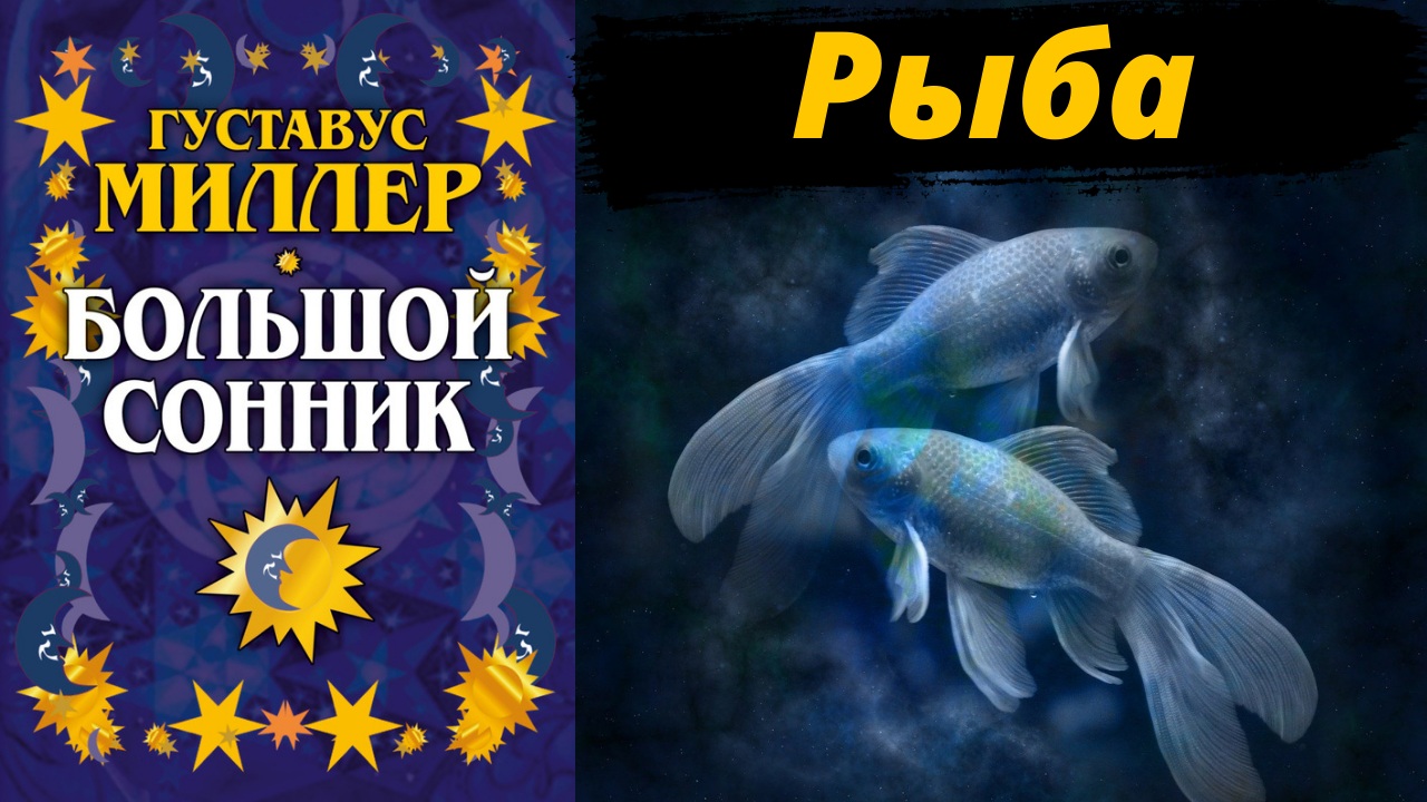 Сонник рыба для бывшего. Сонник рыба. Приснилась рыба. Сонник Миллера. Снится рыба мужчине Живая большая.