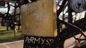 Мирноград / Донецкая область / Украина