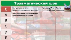 Травматический Шок. Политравма. (Догоспитальный этап)