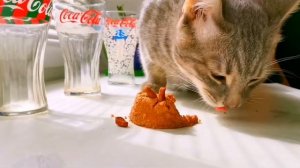 КОТ ЕСТ ТОРТ ASMR