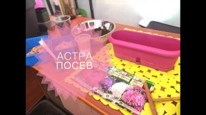 Дачные сезоны с Мариной Рыкалиной. СЕЕМ АСТРЫ